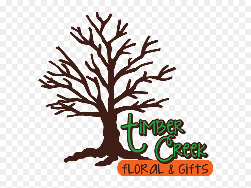 Timber Creek Floral And Gifts, HD Png Download - single red rose png