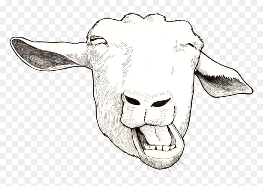 Funny Goat - Sketch, HD Png Download - goat.png