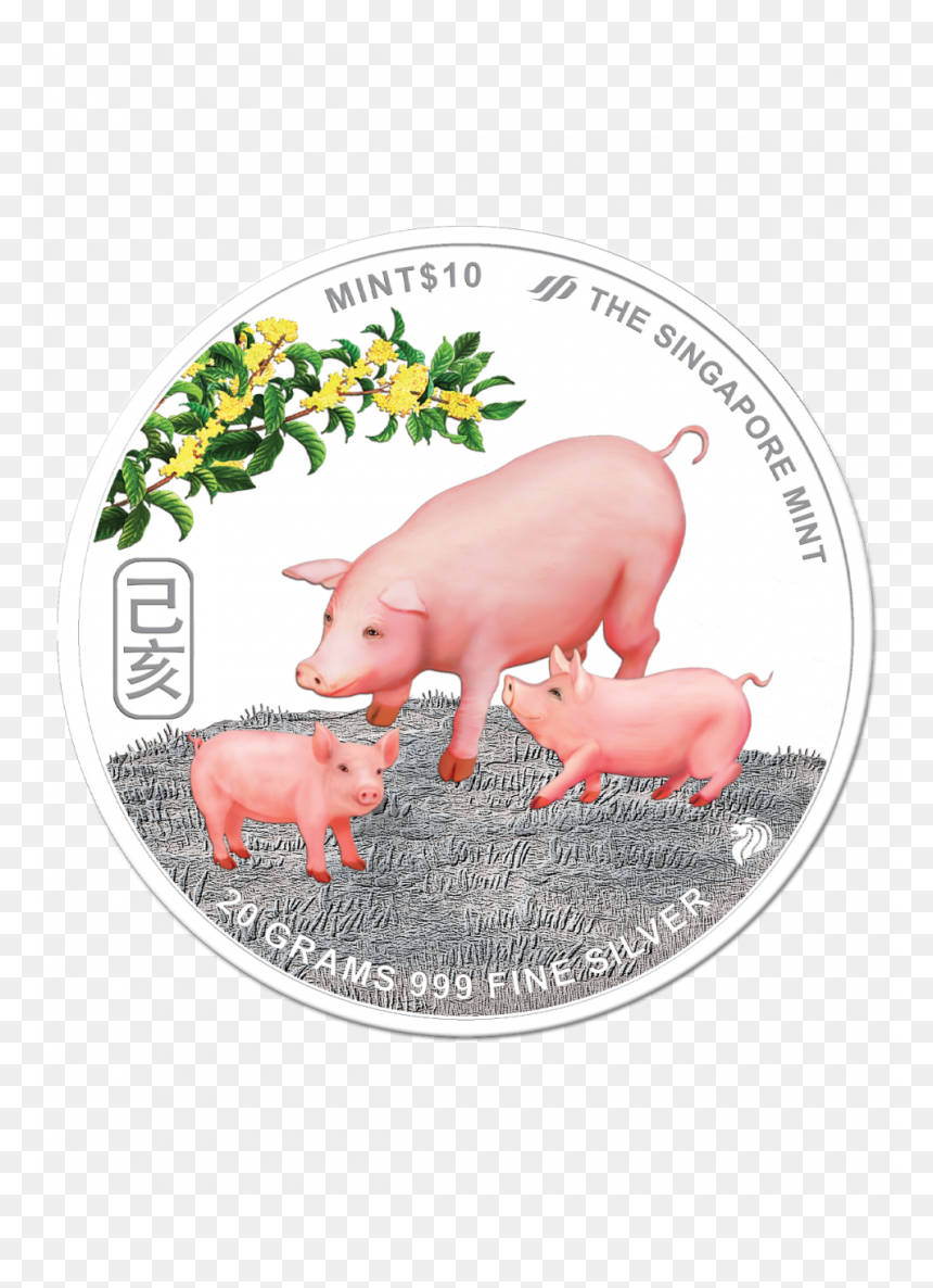Boar Png, Transparent Png - boar png
