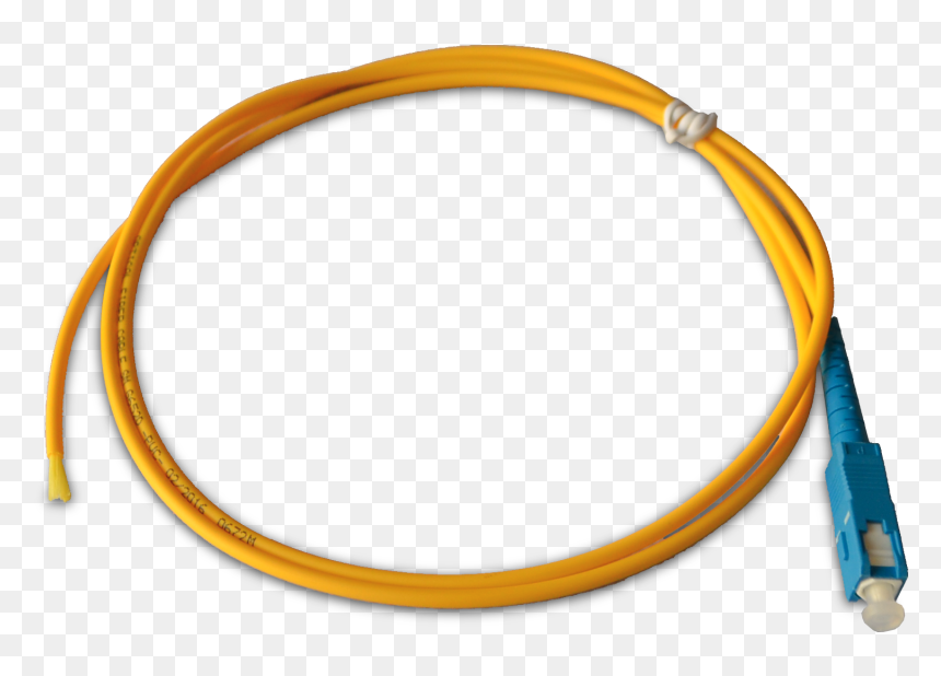 Pigtails Png, Transparent Png - pigtails png