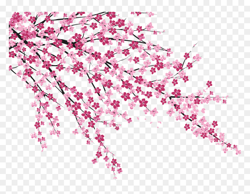 Cherry Blossom Sakura No Hanabiratachi Wall Painting - Sakura Cherry Blossom Png, Transparent Png - cherry blossom petal png