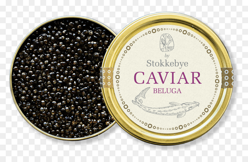 Beluga Caviar - 100 Years Of Civil Aviation, HD Png Download - caviar png