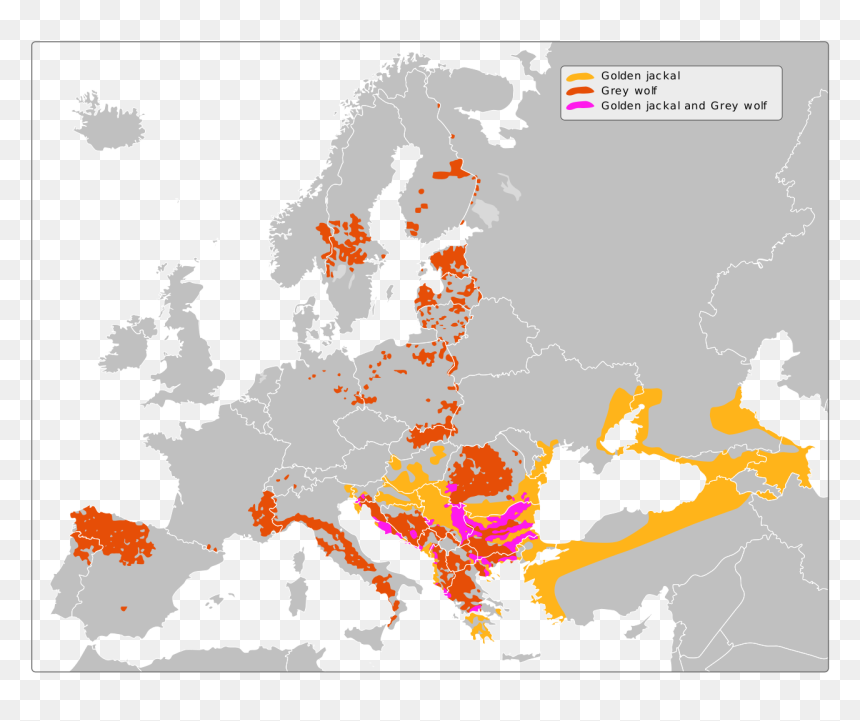 European Union Members 2018, HD Png Download - jackal png
