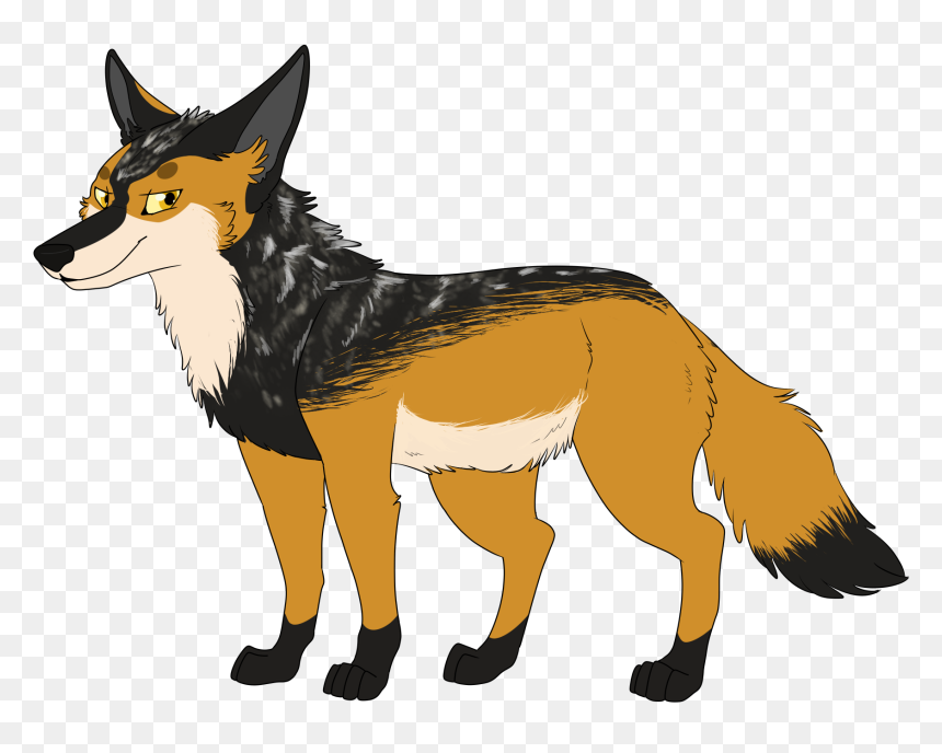 Alpha Jackal - Mackenzie River Husky, HD Png Download - jackal png
