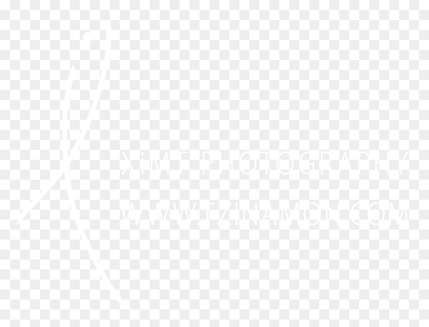Lcv3jc6bpvx5yoszmgno - Johns Hopkins Logo White, HD Png Download - textura png