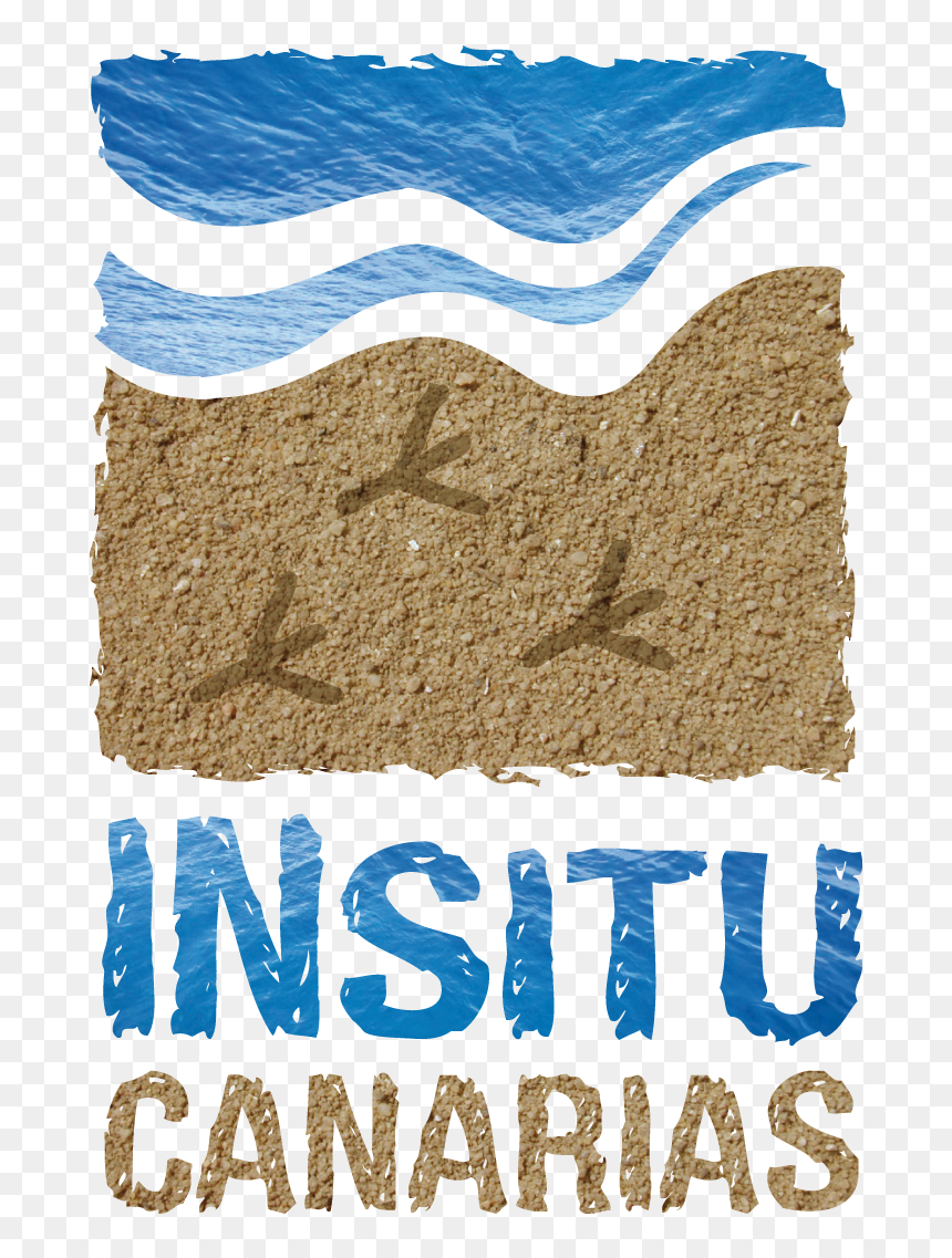 Textura Insitu - Sand Texture, HD Png Download - textura png