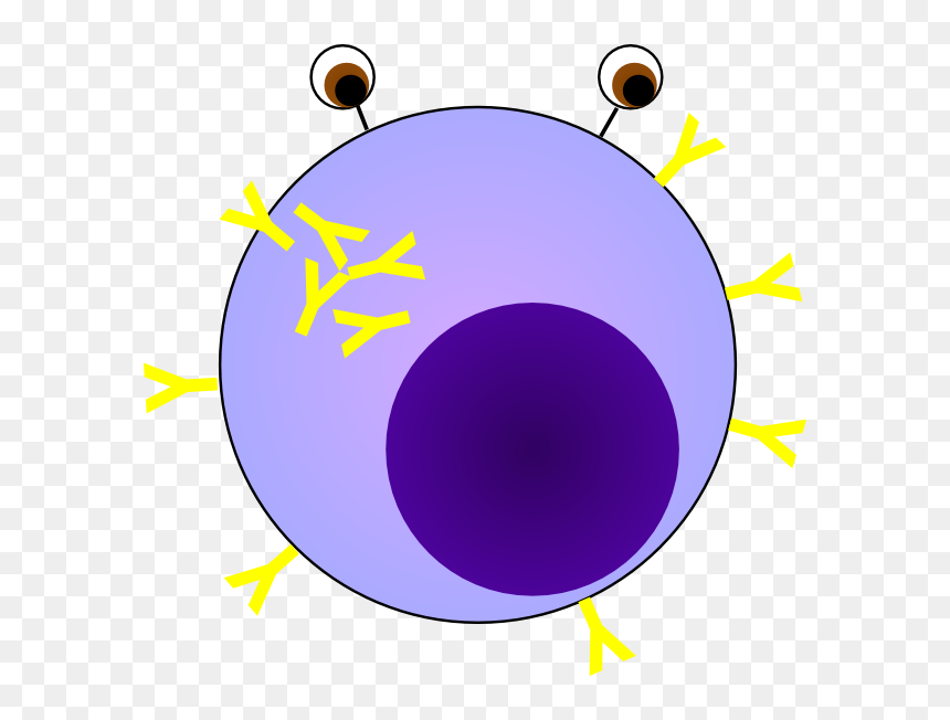Transparent Plasma Ball Png - Plasma Cell Clipart, Png Download - plasma ball png