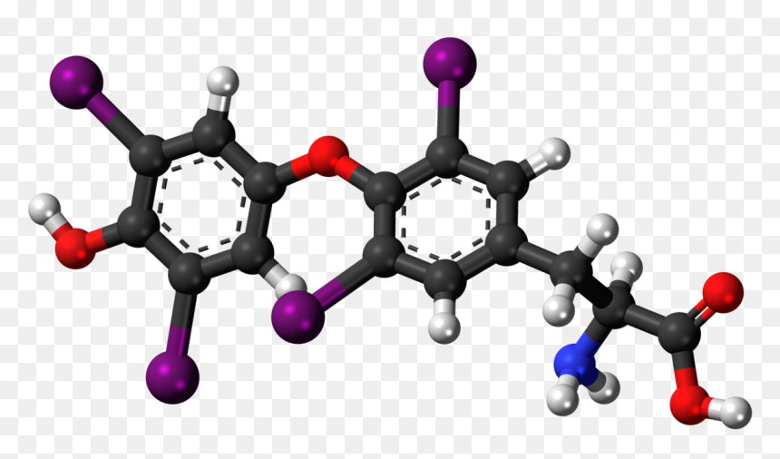 Molecule Of Amino Acid Png, Transparent Png - plasma ball png