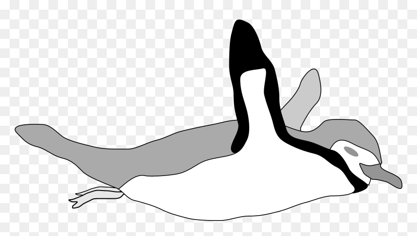 Photography - Penguin Swimming Clipart Gif, HD Png Download - swimming silhouette png