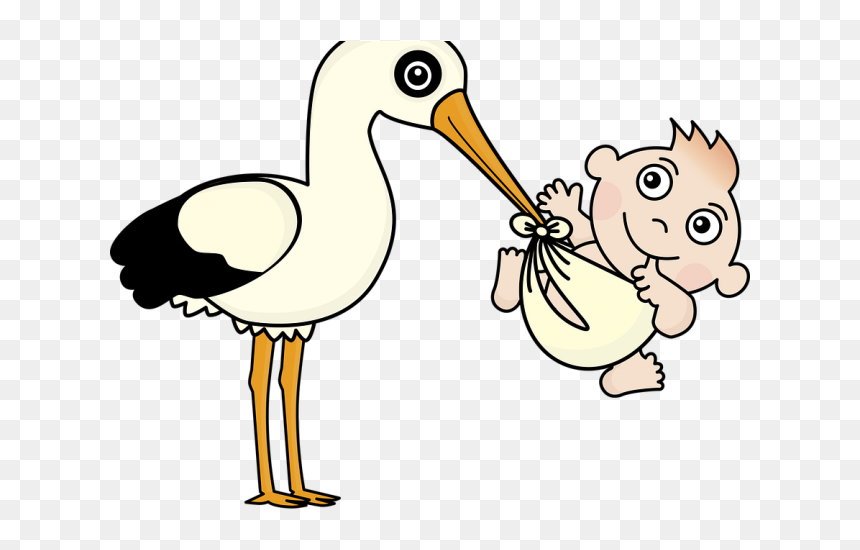 Stork Clipart Baby Vector - Nascimento Clipart, HD Png Download - baby vector png