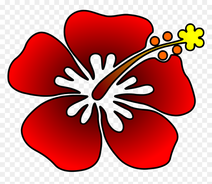 Hibiscus,plant,flora - Rosemallows Clipart, HD Png Download - hibiscus clipart png