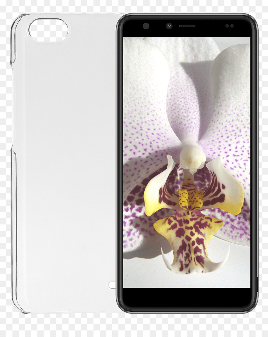 Gigaset Total Clear Cover - Moth Orchid, HD Png Download - dirt smudge png
