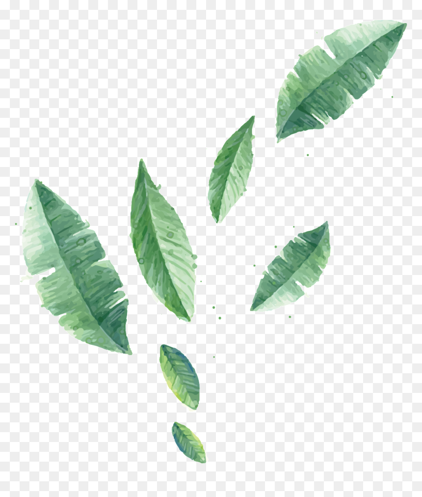 Leaf Wall Painting Png, Transparent Png - plant vector png