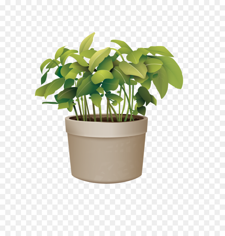 Pictures Of Potted Plants Best Of Flowerpot Plant Vector - Potted Plant Transparent Background, HD Png Download - plant vector png