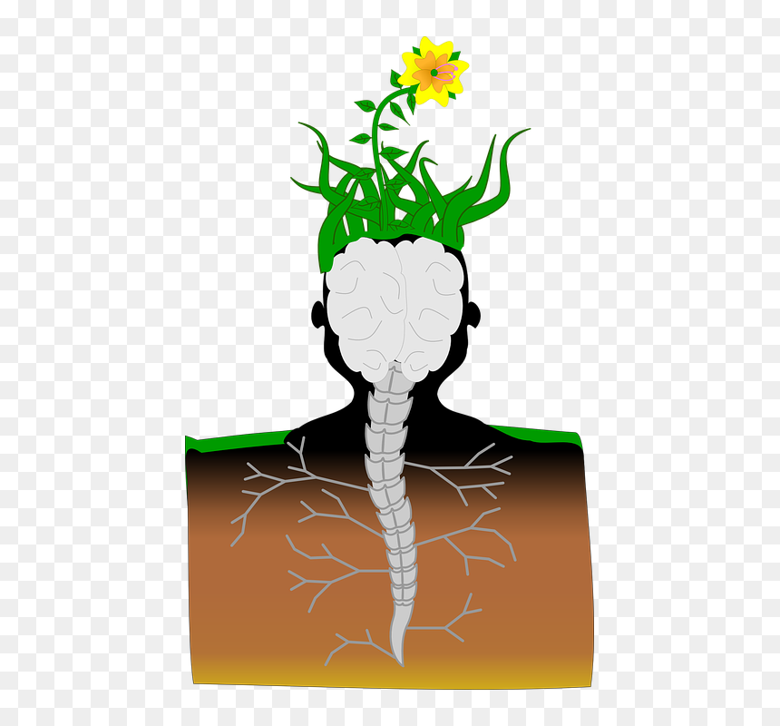 Free Soil Garden Vector, HD Png Download - plant vector png
