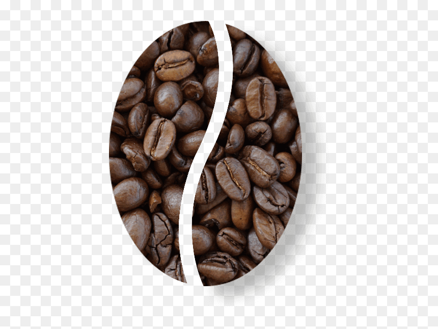 Coffee, HD Png Download - granos de cafe png