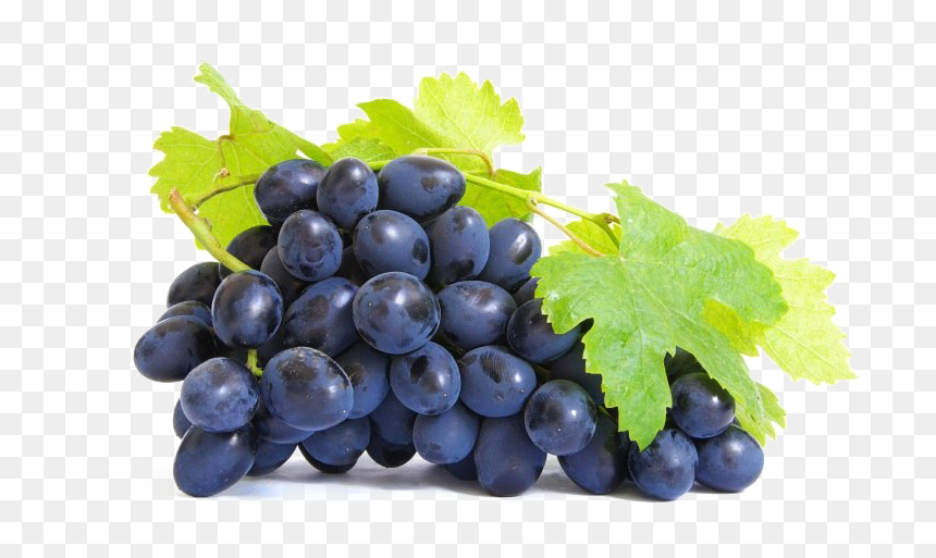 Extrait De Pépins De Raisin, HD Png Download - grapes png