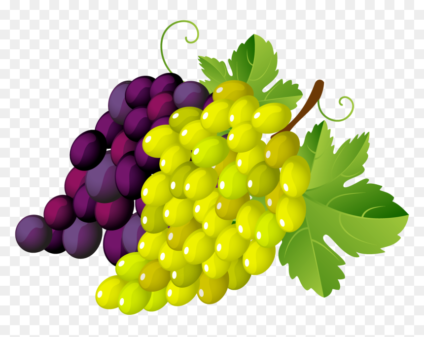 Nomes De Frutas Em Frances, HD Png Download - grapes png