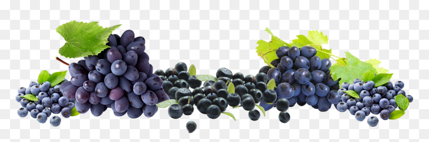 Free Grapes Png - Portable Network Graphics, Transparent Png - grapes png