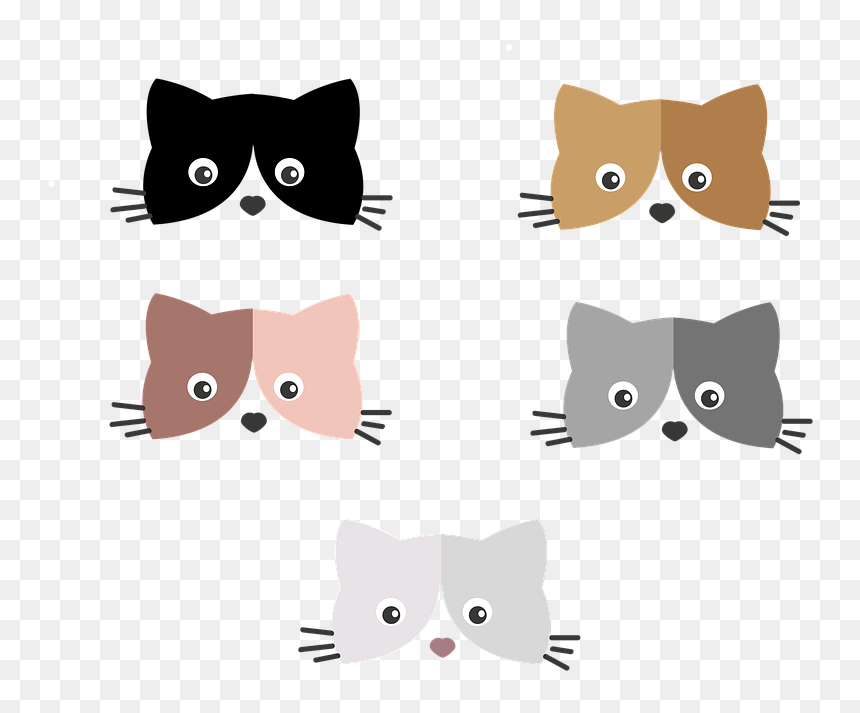 Kitten, HD Png Download - kitten png