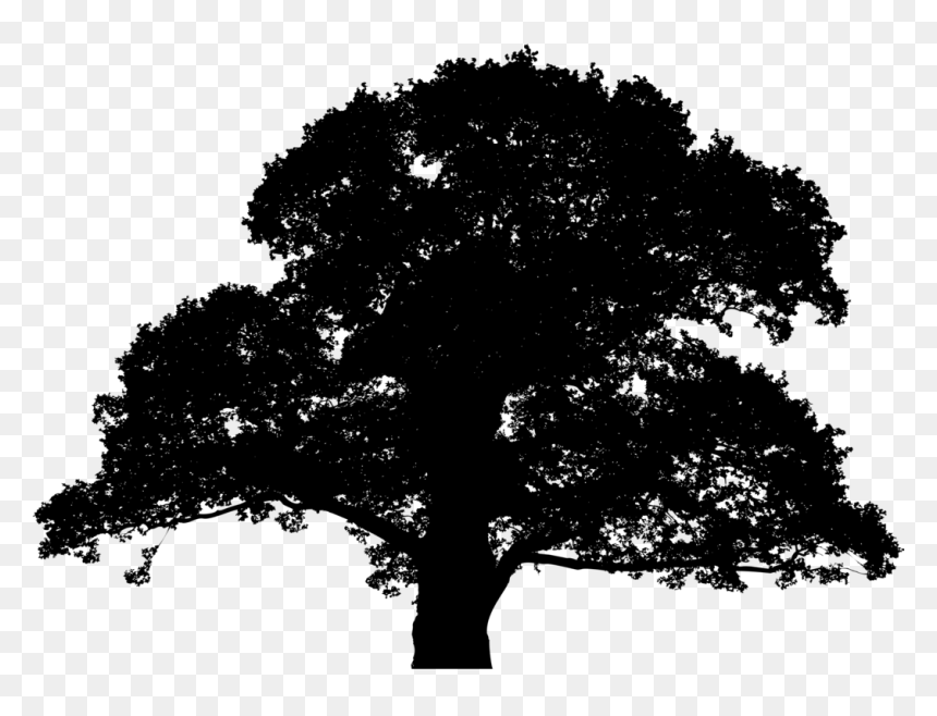 Silhouette Tree Icon Png, Transparent Png - oak tree png