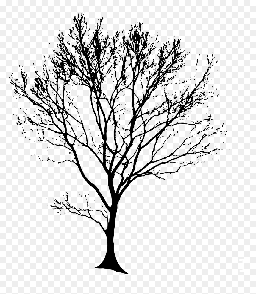 Tree Line Drawing Png, Transparent Png - oak tree png