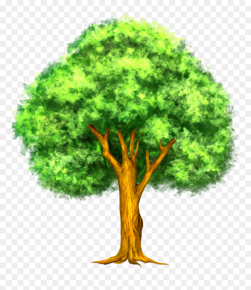Oak Tree Png, Transparent Png - oak tree png