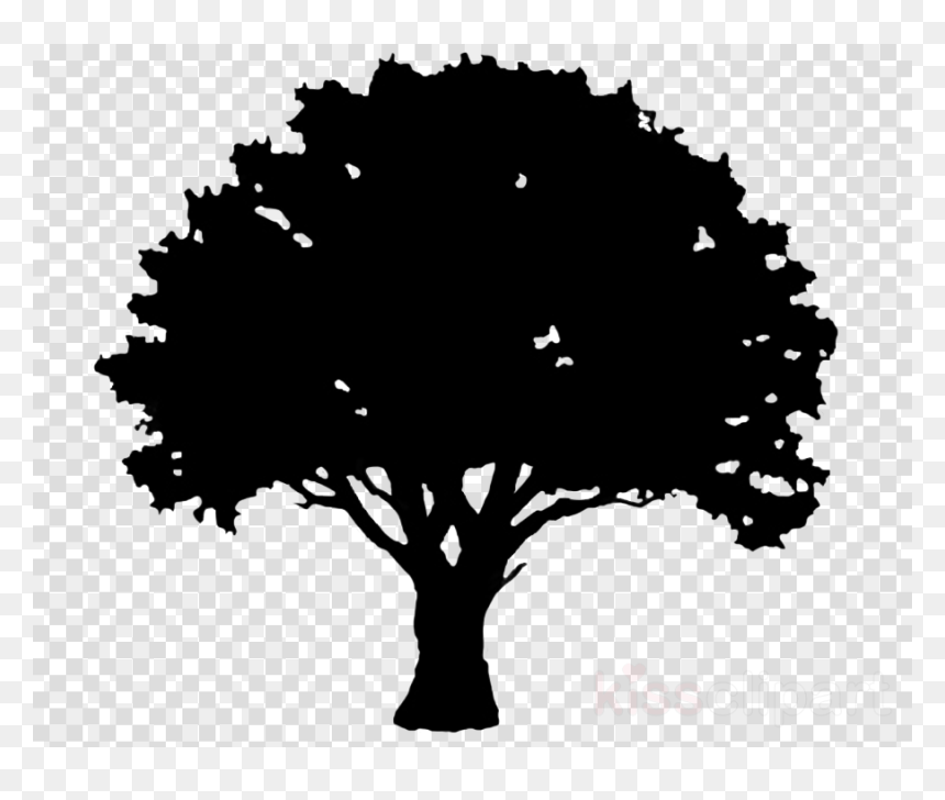 Black Cowboy Hat Transparent, HD Png Download - oak tree png