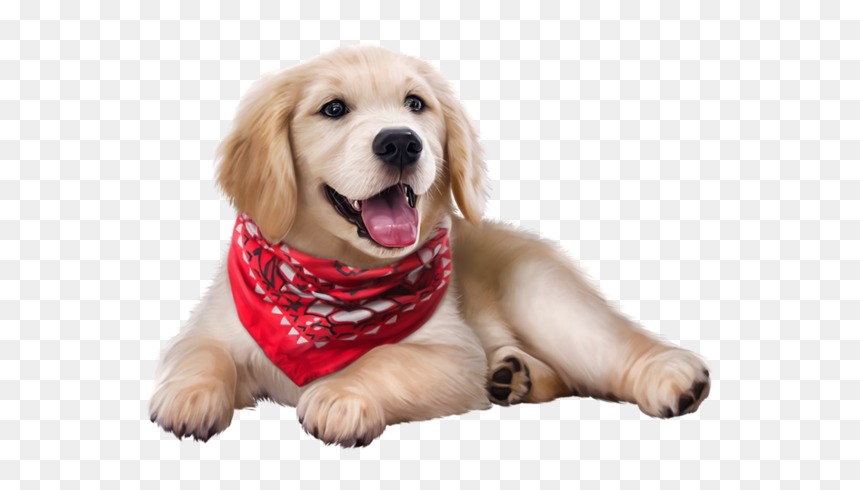 Golden Retriever Puppy, HD Png Download - bandana png