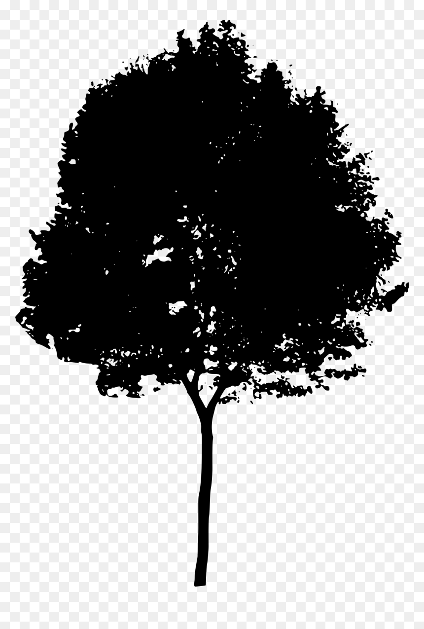 Tree Silhouette Architecture, HD Png Download - oak tree png