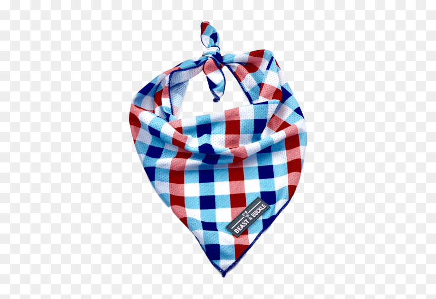 Tartan, HD Png Download - bandana png