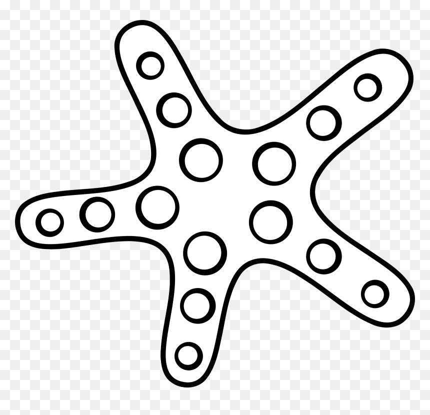 Starfish Clipart Black And White, HD Png Download - starfish png