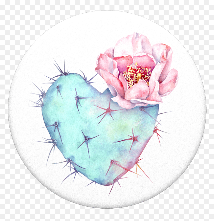 Succulent Heart Popsocket, HD Png Download - succulent png