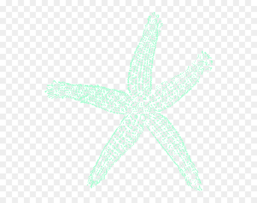 Estrela Do Mar Png, Transparent Png - starfish png