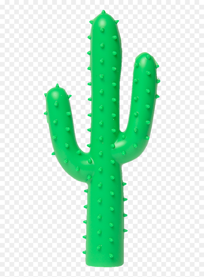 Cactus Toy, HD Png Download - succulent png