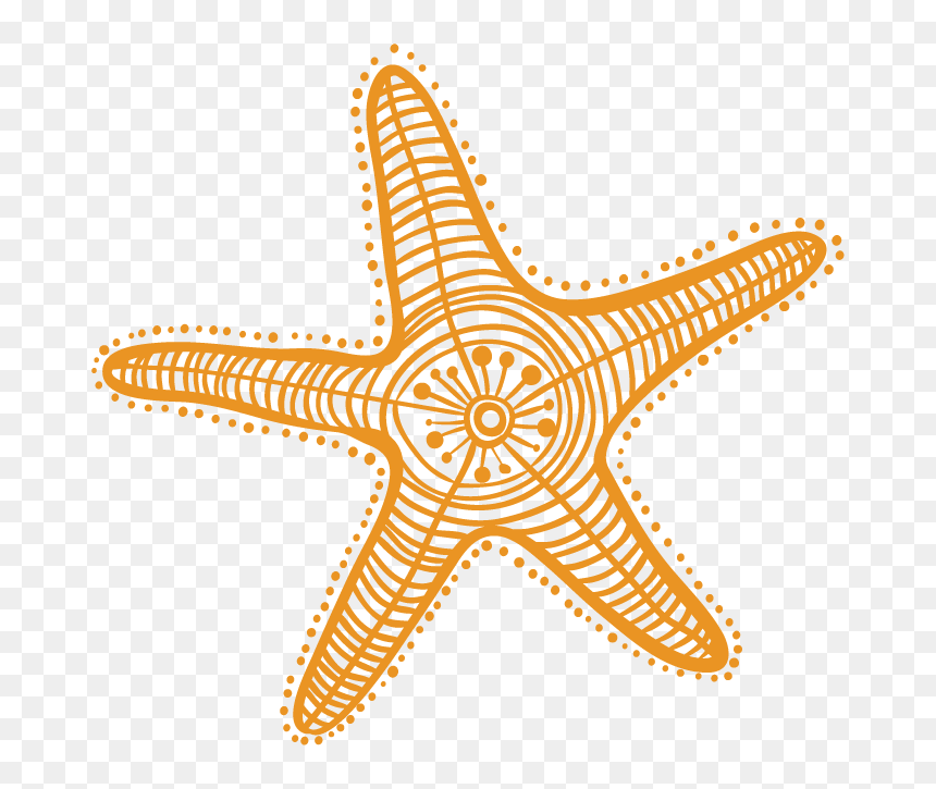 Estrella De Mar Clipart, HD Png Download - starfish png