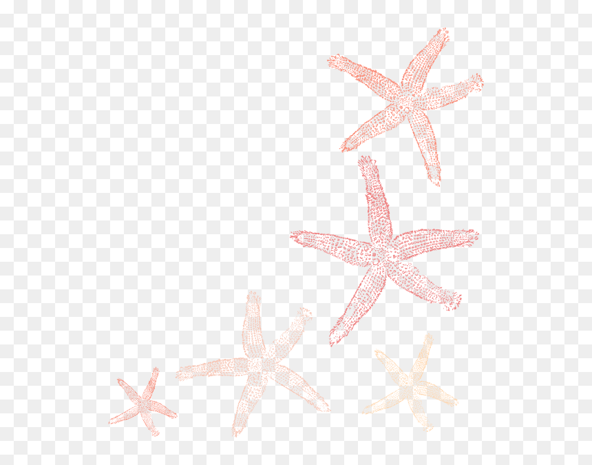 Fish Clip Art, HD Png Download - starfish png