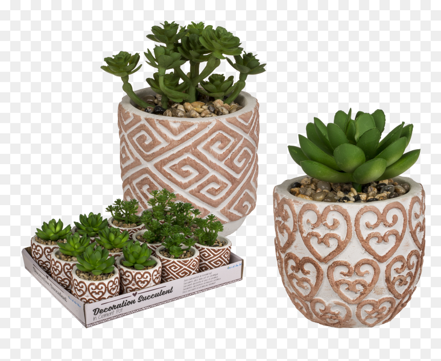 Flowerpot, HD Png Download - succulent png