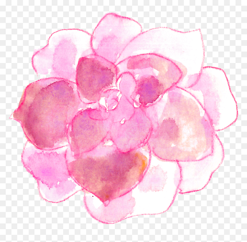 Pink Watercolor Succulents, HD Png Download - succulent png