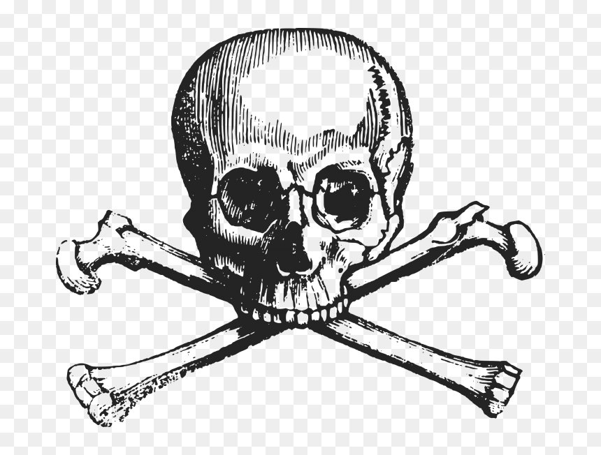 Skull And Crossbones, HD Png Download - bone png