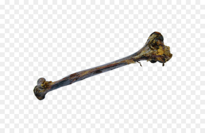 Twig, HD Png Download - bone png