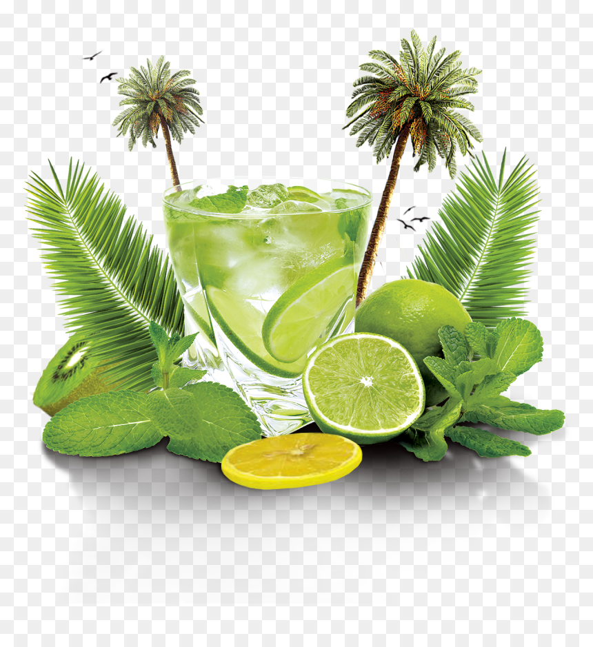 Mojito Flyer, HD Png Download - lime png