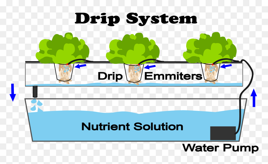 Do Hydroponics Work, HD Png Download - drip png