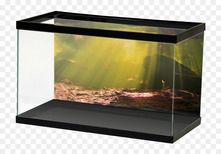 Aquariumvinyl Underwaterblackwatercave - River Rock Aquarium Background, HD Png Download - aquarium png