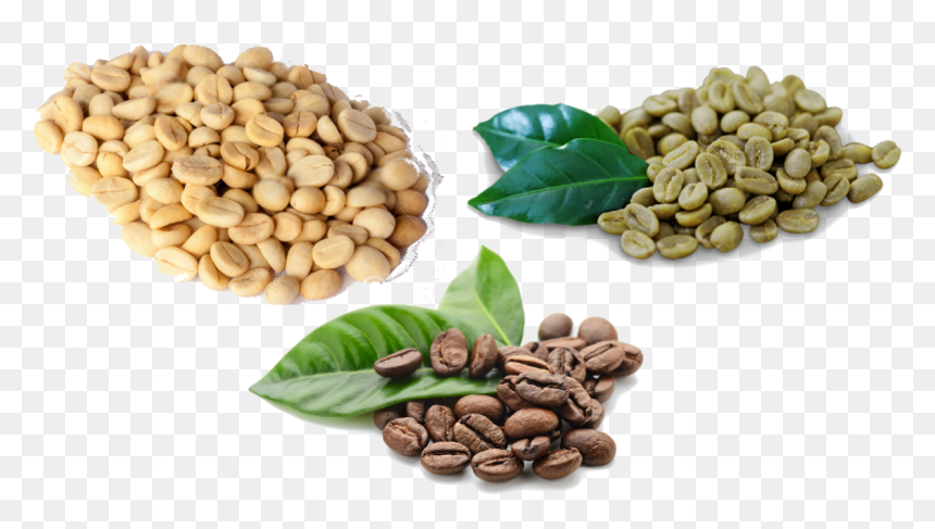 Кофейные Зёрна Пнг, HD Png Download - granos de cafe png