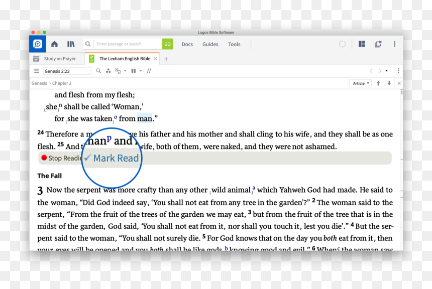 Screenshot, HD Png Download - open bible.png