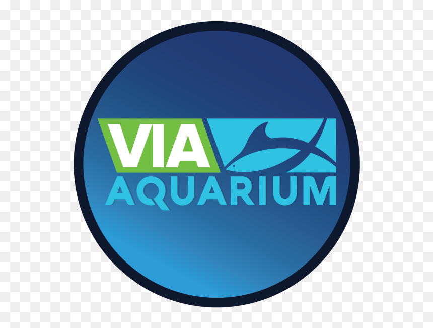 Circle, HD Png Download - aquarium png