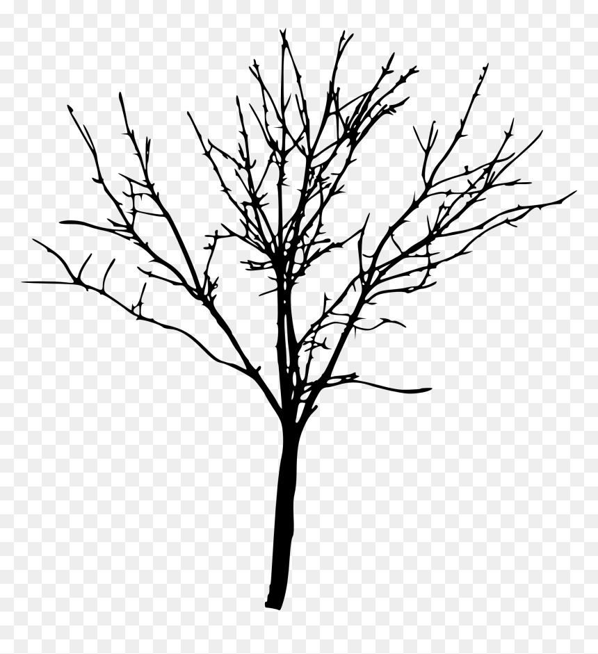 Transparent Bare Tree Silhouette, HD Png Download - tree art png