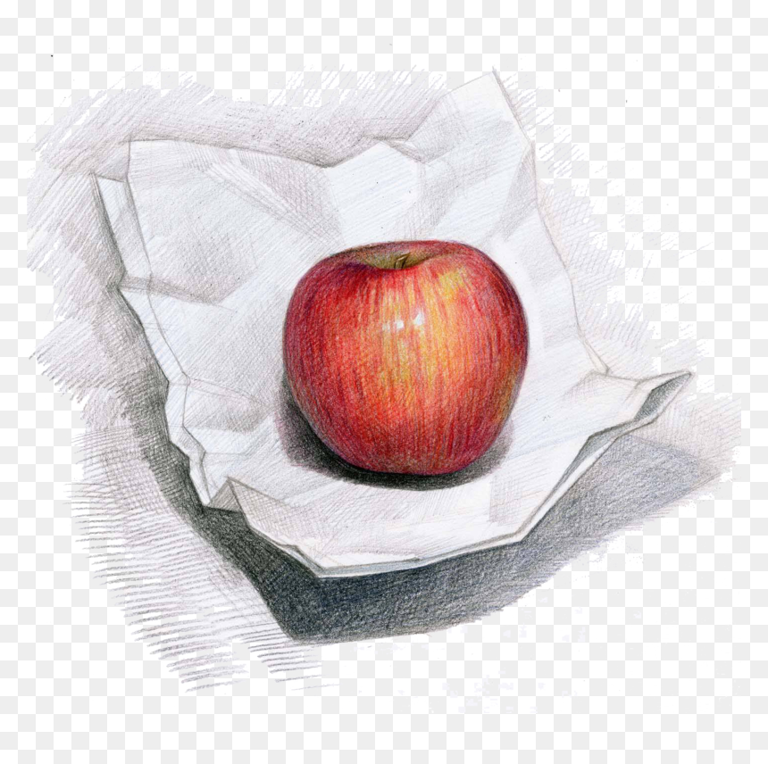 Apple Campus Painting Hand - Color Pencils Drawing Of Fruits, HD Png Download - drawing pencil png