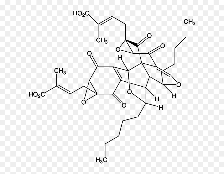 Diagram, HD Png Download - pestañas png